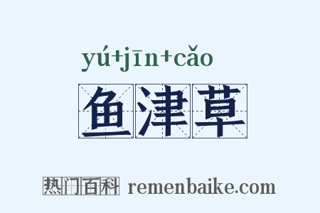 鱼津草是什么意思的图片